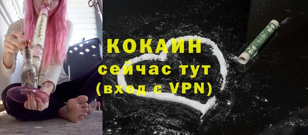 соль ск Белокуриха