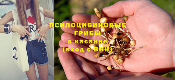 амф Беломорск