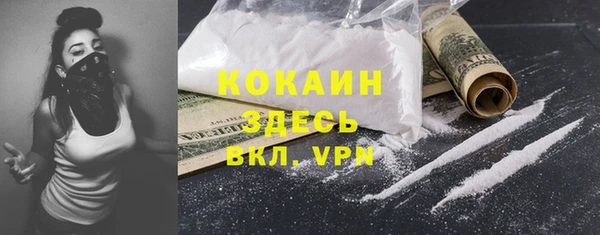 соль ск Белокуриха